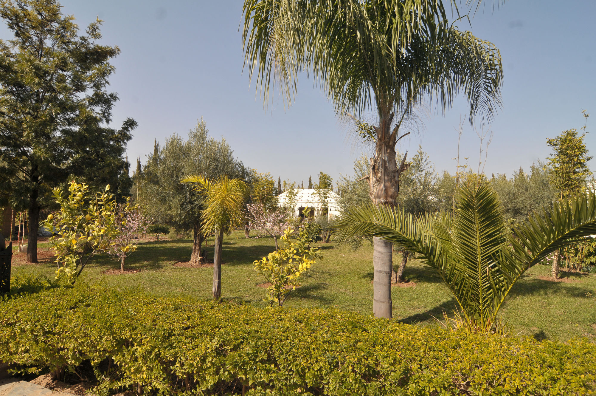 Riad Jawad & Spa Marrakesh Exteriör bild
